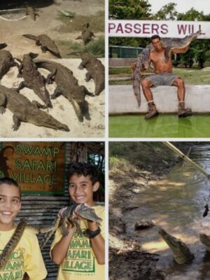 Swamp Safari Tour , Falmouth, Jamaica