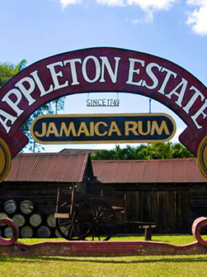 Appleton Estates Rum Factory Tour, St. Elizabeth, Jamaica