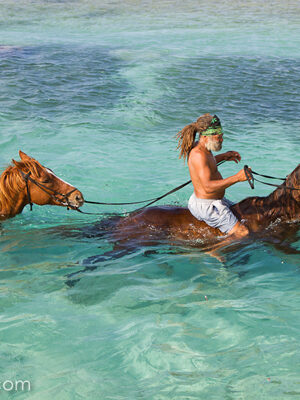 Braco Stables Horseback Riding Braco, Jamaica