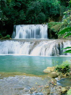 YS Falls & Appleton Rum Factory Combo Tour Package