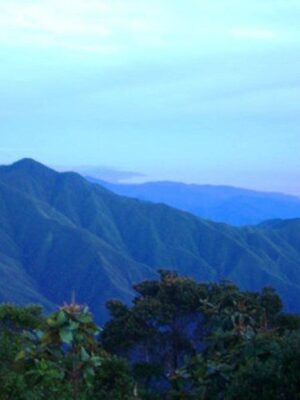 Blue Mountains, Kingston, Jamaica